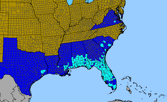 The range of Cantinoa mutabilis